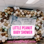 little peanut baby shower