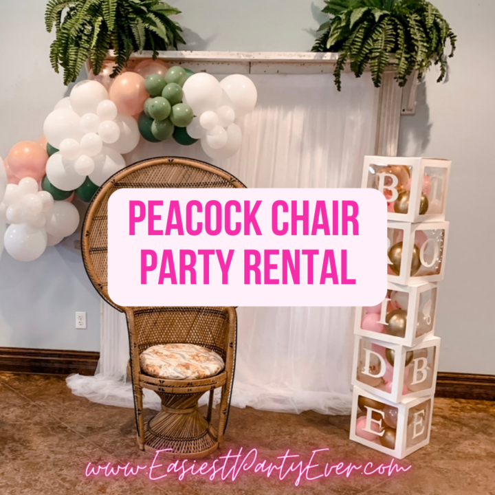 What makes a peacock chair party rental great Easiest Party Ever