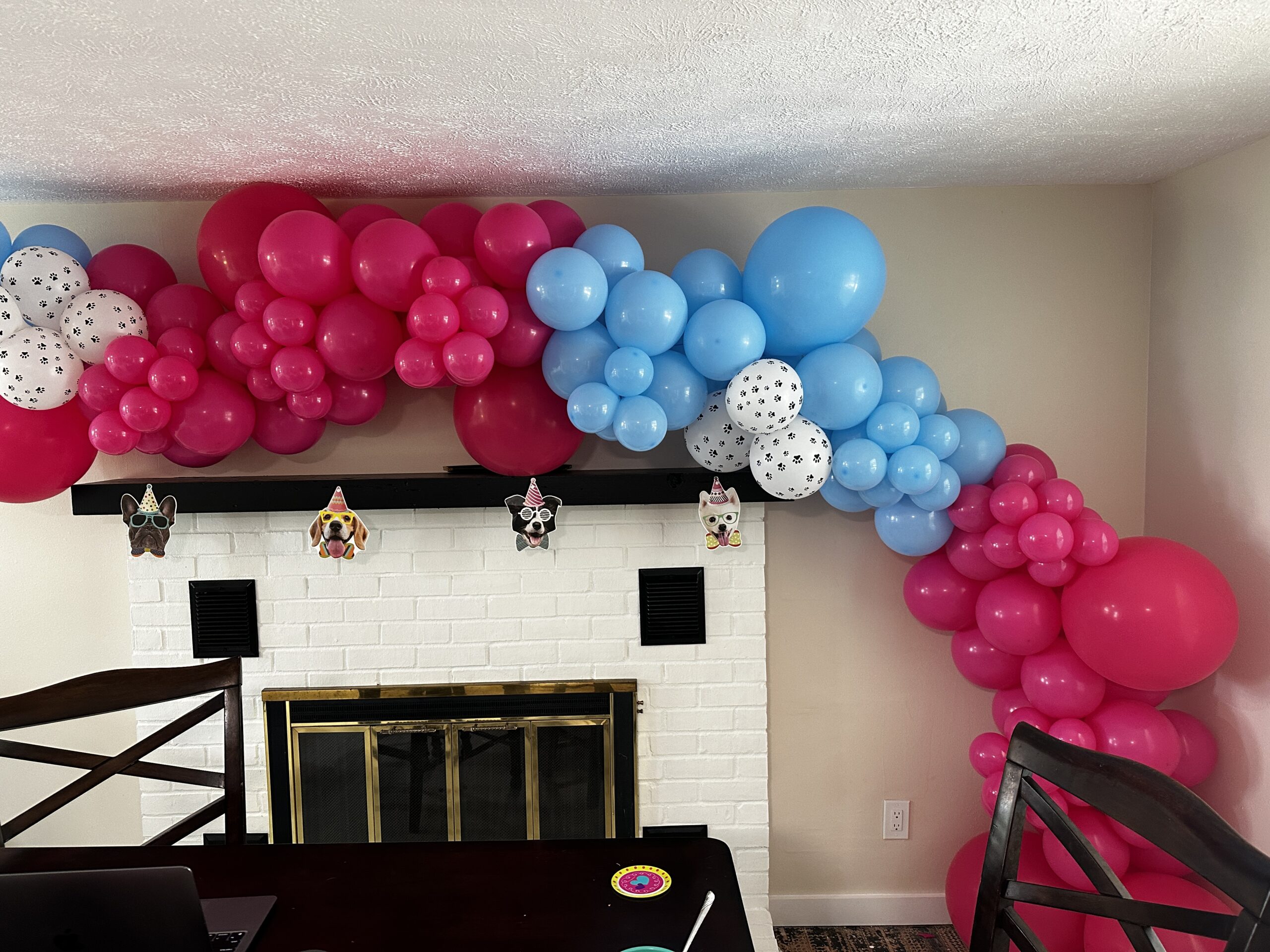lets pawty balloon garland